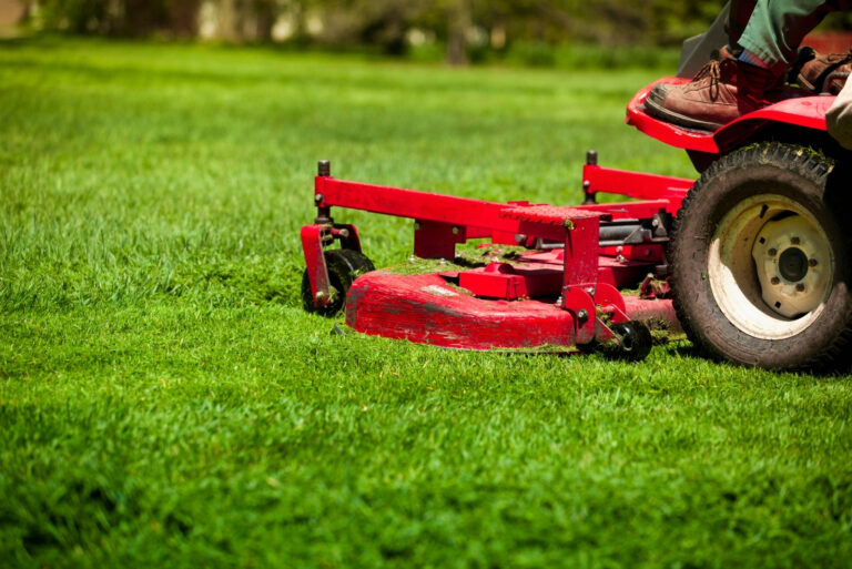 lawn mowing (featured image)