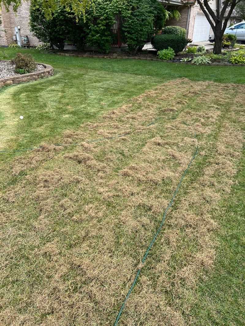 Mowing Too Short