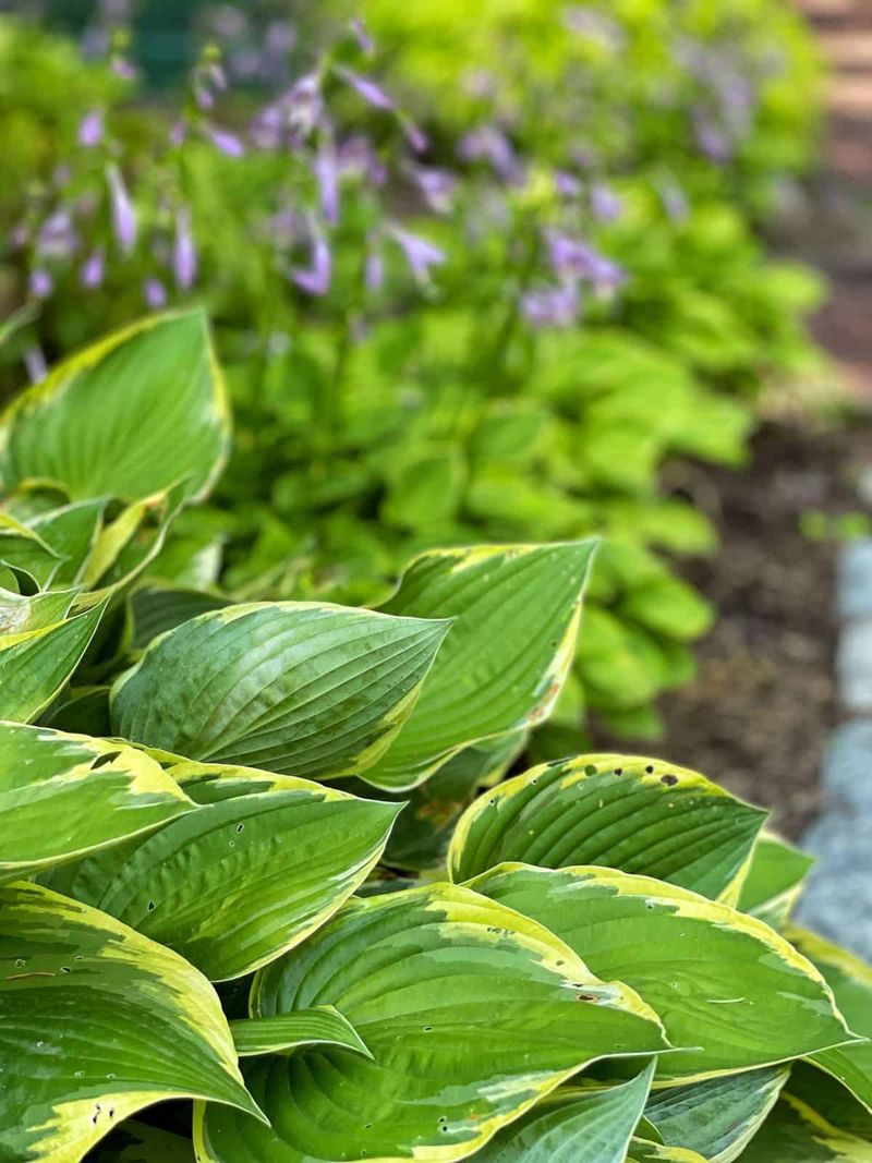 Find The Perfect Shade Spot
