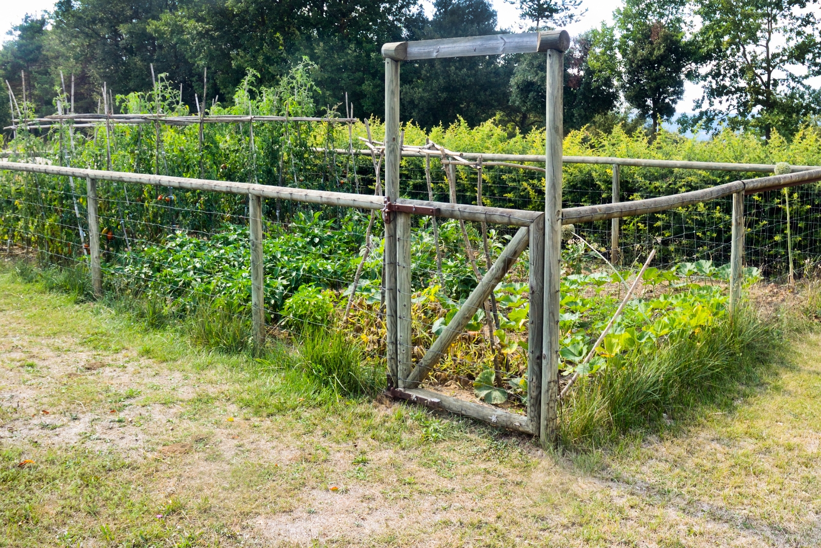 11 Vegetable Garden Fence Ideas Perfect For California Growers
