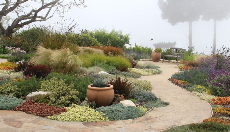 Drought-Resistant Succulent Borders