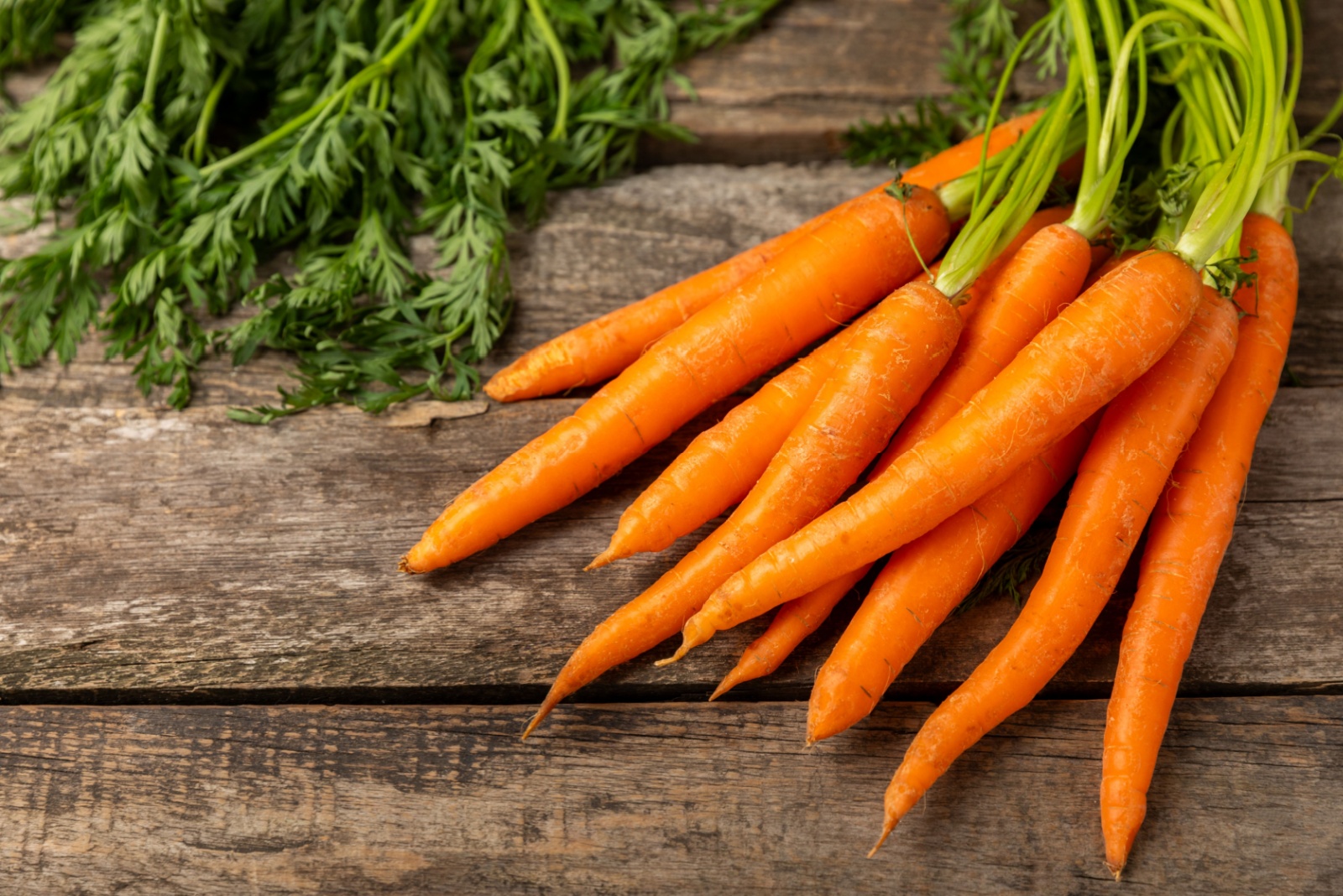 11 Vegetables Ohio Gardeners Should Plant In Their Kitchen Gardens This October
