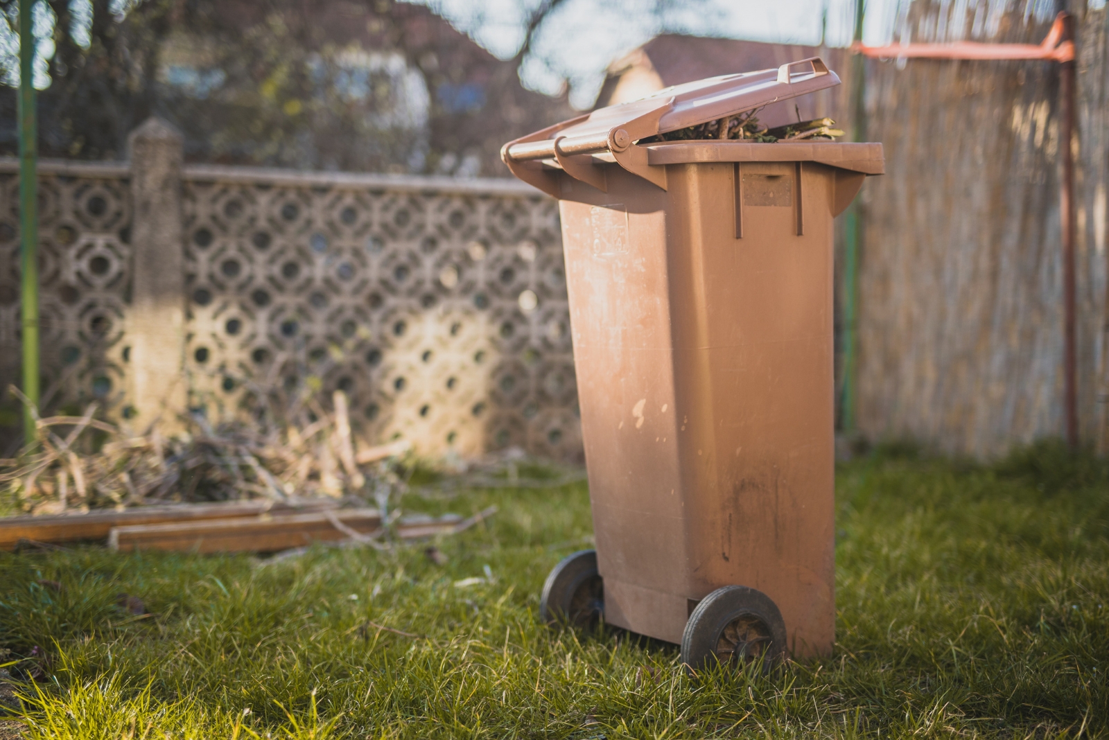 trash can in yard