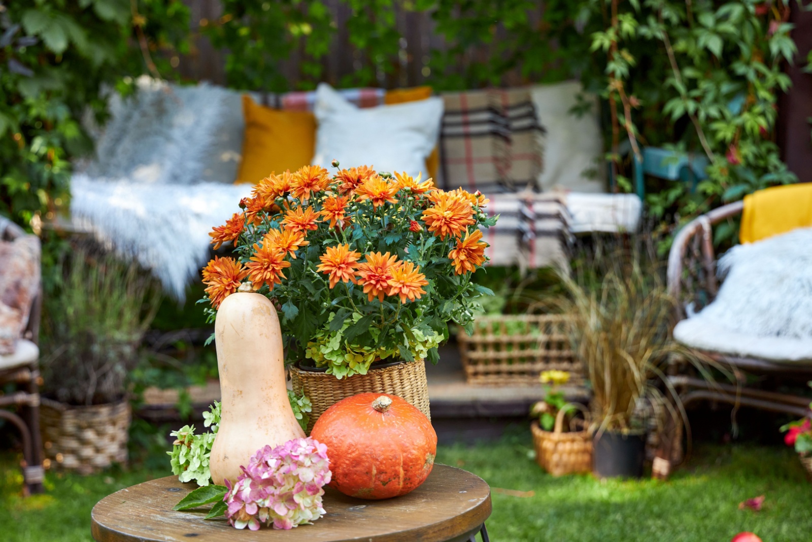 12 Easy Ways To Add More Color To Pennsylvania Yards This Fall