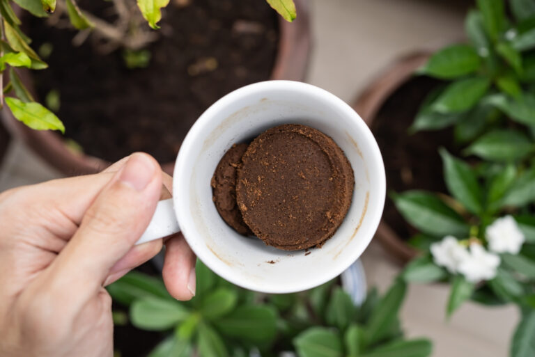 coffee grounds (featured image)