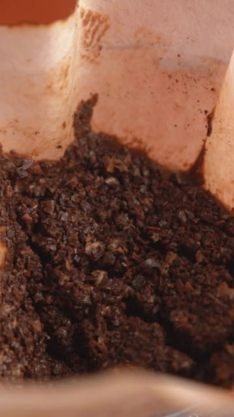 Coffee Grounds Fertilizer
