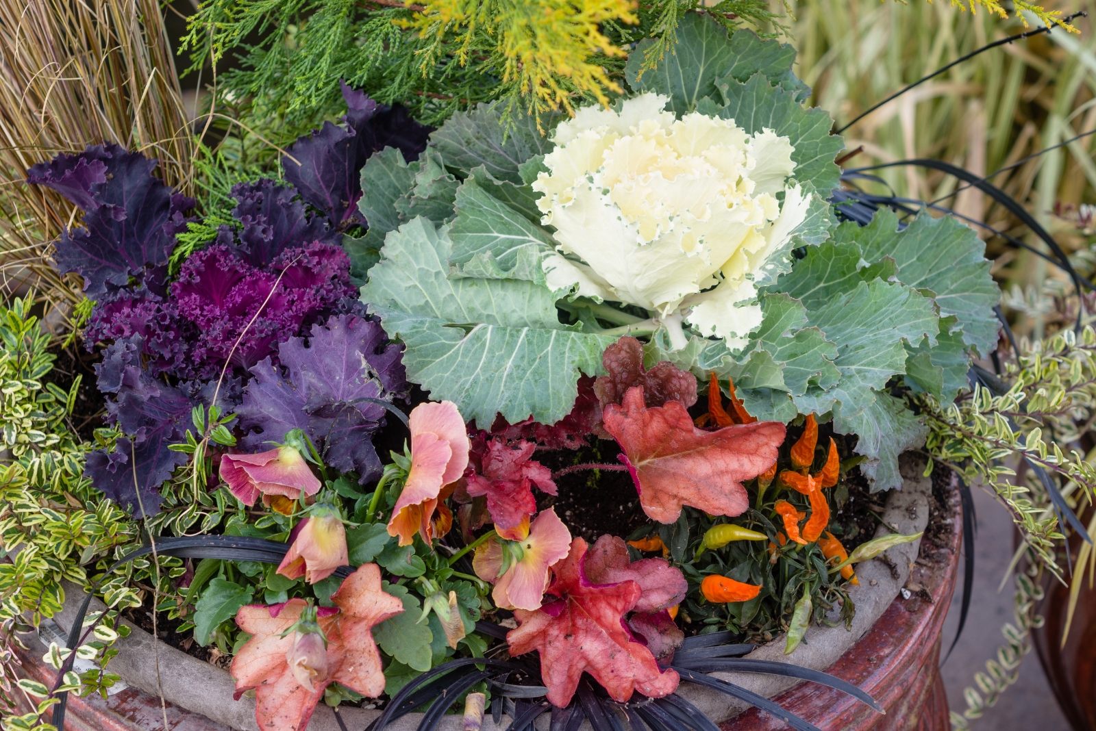 fall container filled with plants
