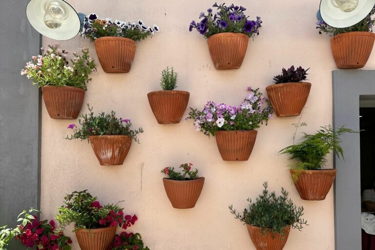Charming Vertical Garden on Portuguese Wall