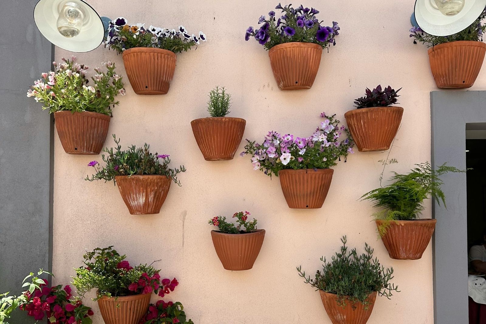 13 Budget-Friendly Ideas For Small Gardens In Illinois