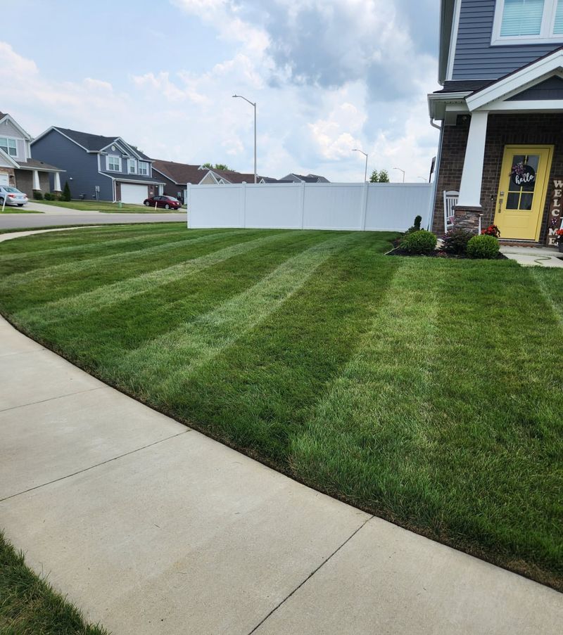 Thirsty Kentucky Bluegrass Lawns