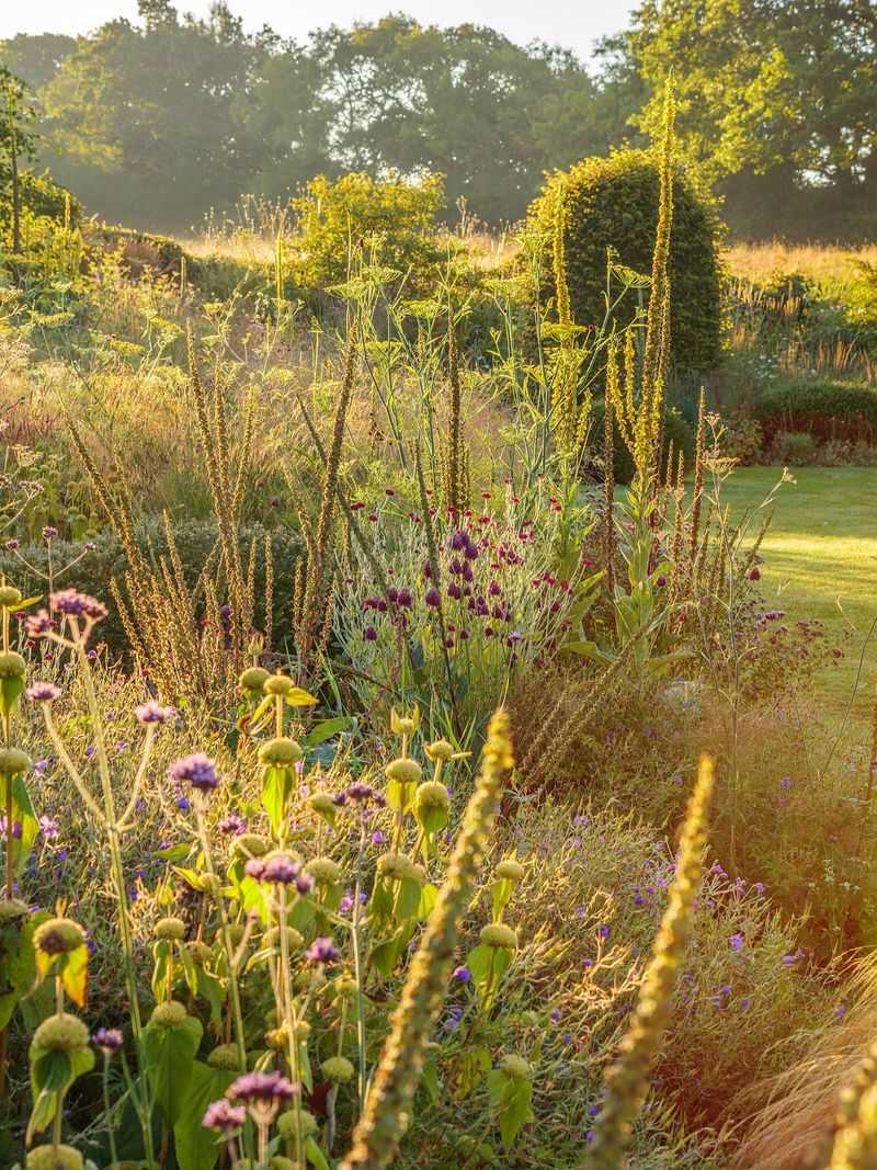 Prairie-Style Perennial Beds