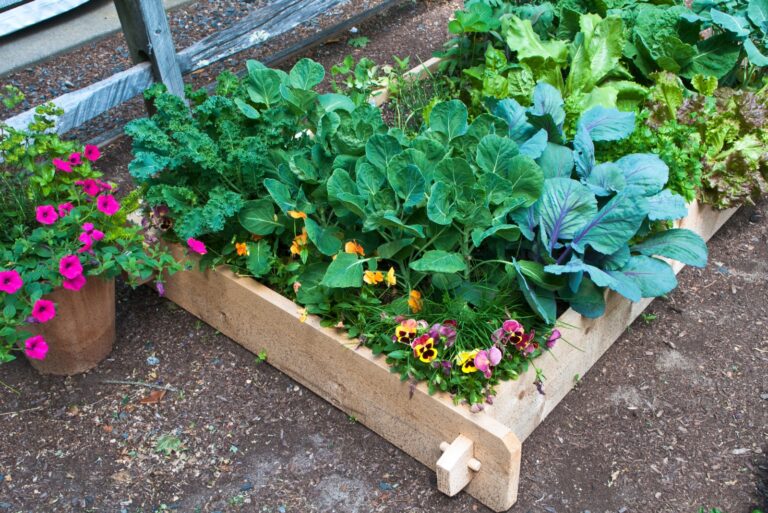 flowers in vegetable garden