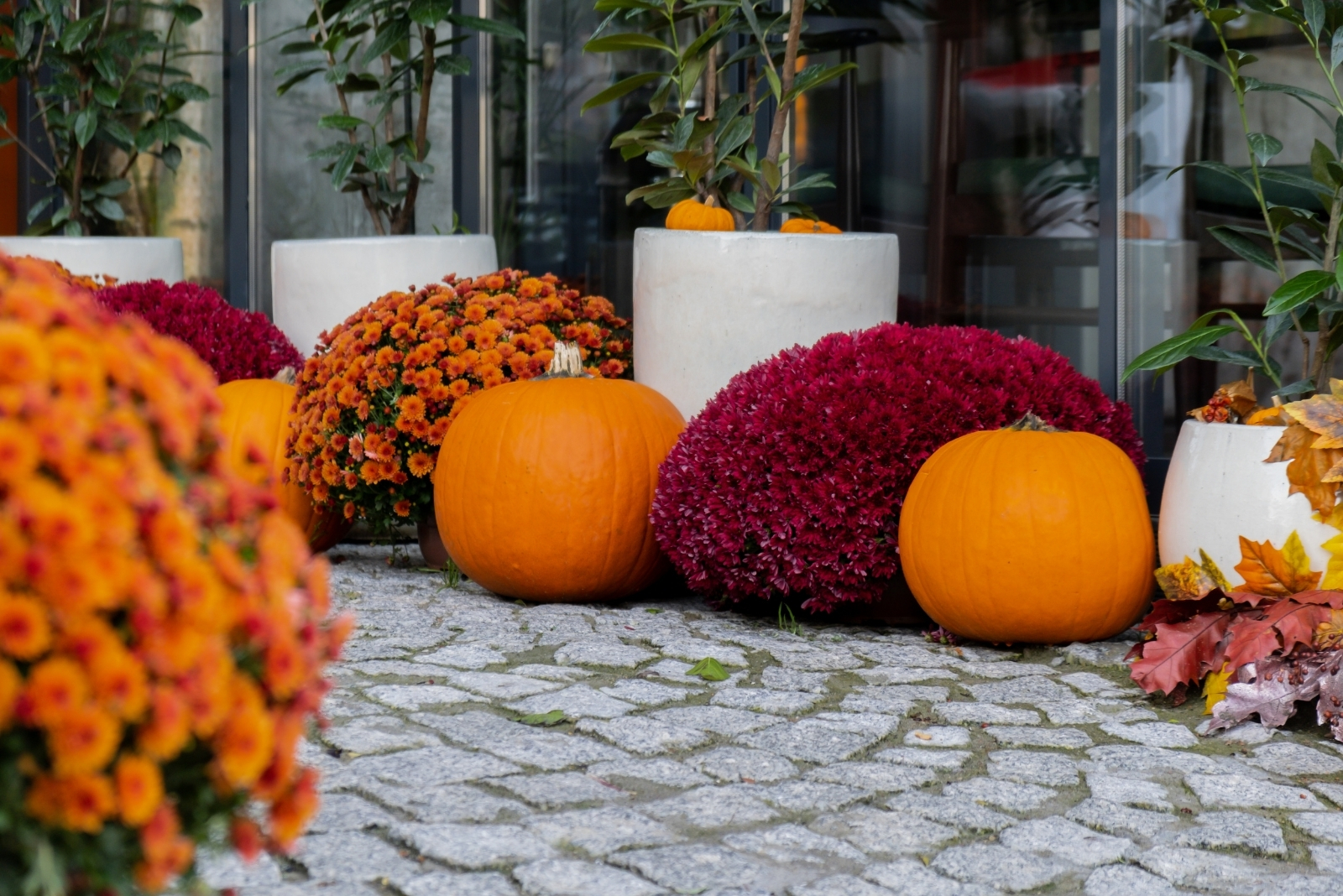 13 Outdoor Fall Decorating Ideas To Brighten Colorado Gardens