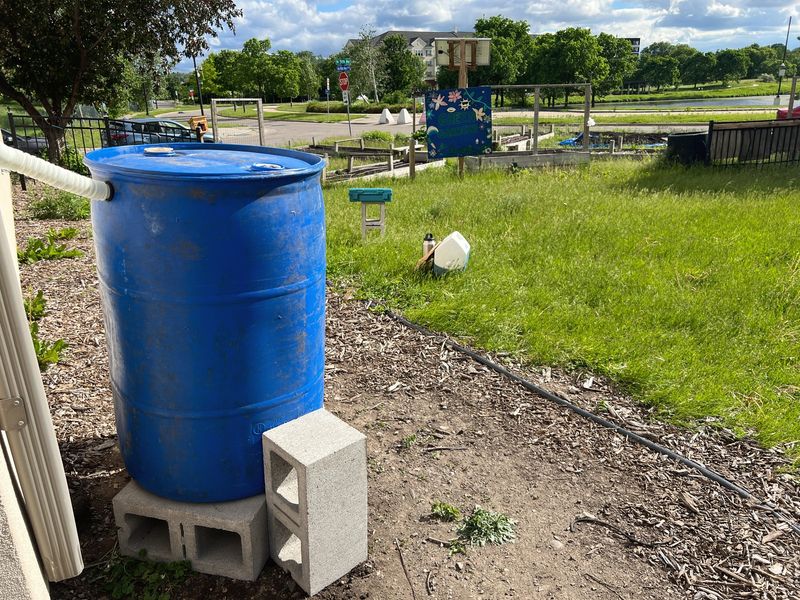 Rain Barrels