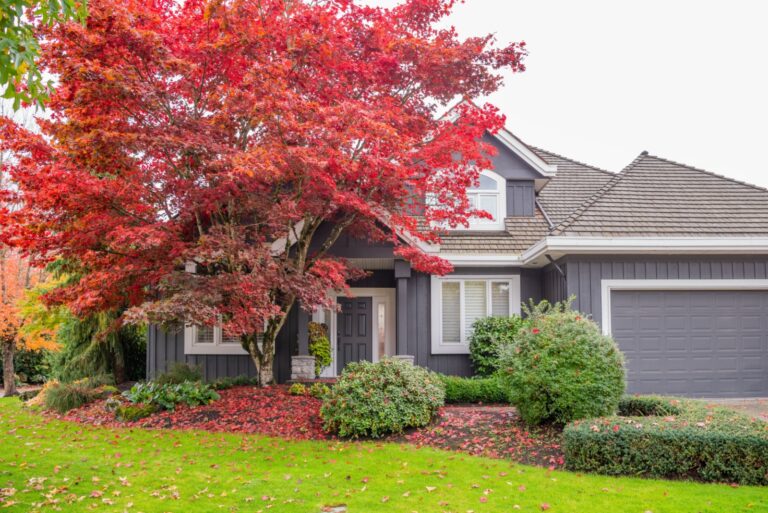 front yard in fall