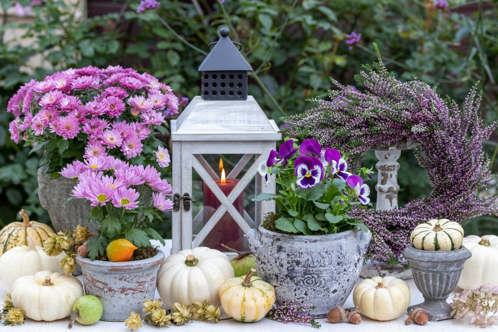 15 Autumn Bloomers That Bring Lasting Color To New York Gardens