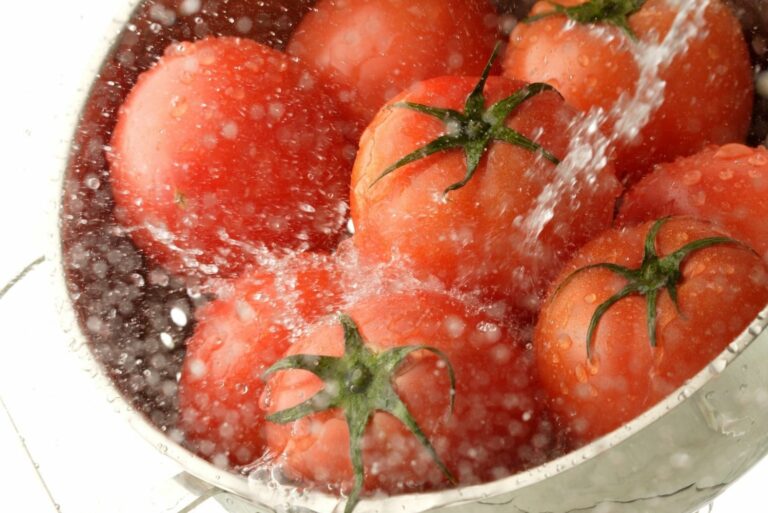 Fresh Tomatoes Being Washed in a Colander
