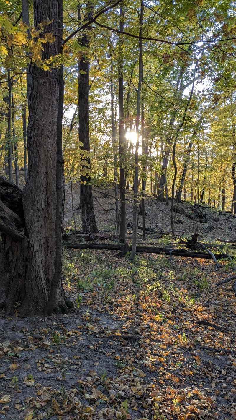 Backbone State Park