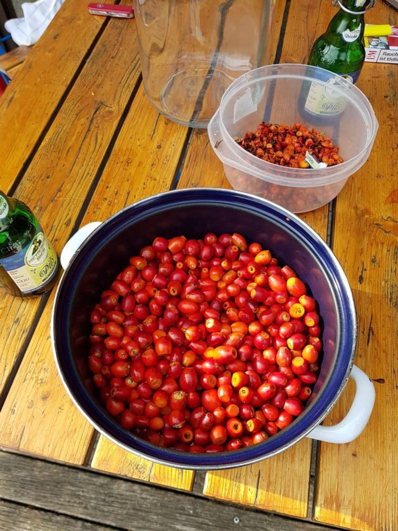 Tangy Rose Hip Jam