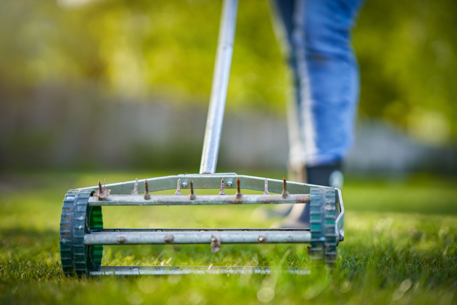 7 Easy Ways To Aerate Your Kentucky Lawn Without Creating Holes In The Soil