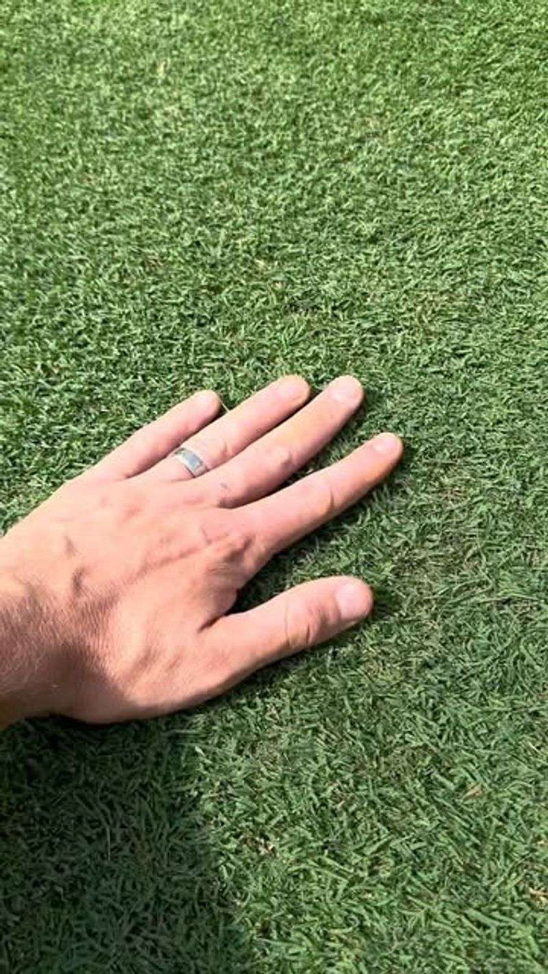 Adjust Your Mowing Height