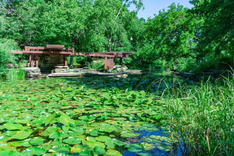 Alfred Caldwell Lily Pool in Lincoln Park Chicago surrounded by Grass and Trees (featured image)