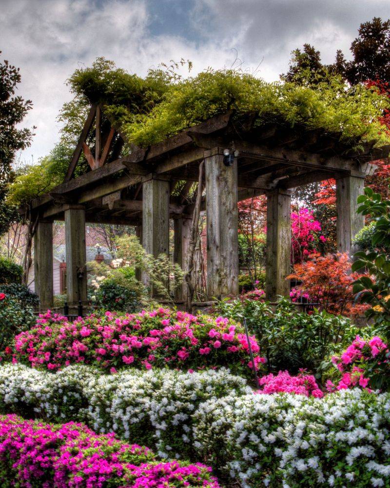 Breathtaking Floral Displays