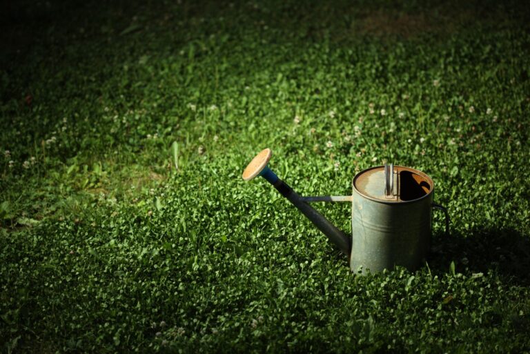 Old metal watering can on green grass at night in the spot of light.