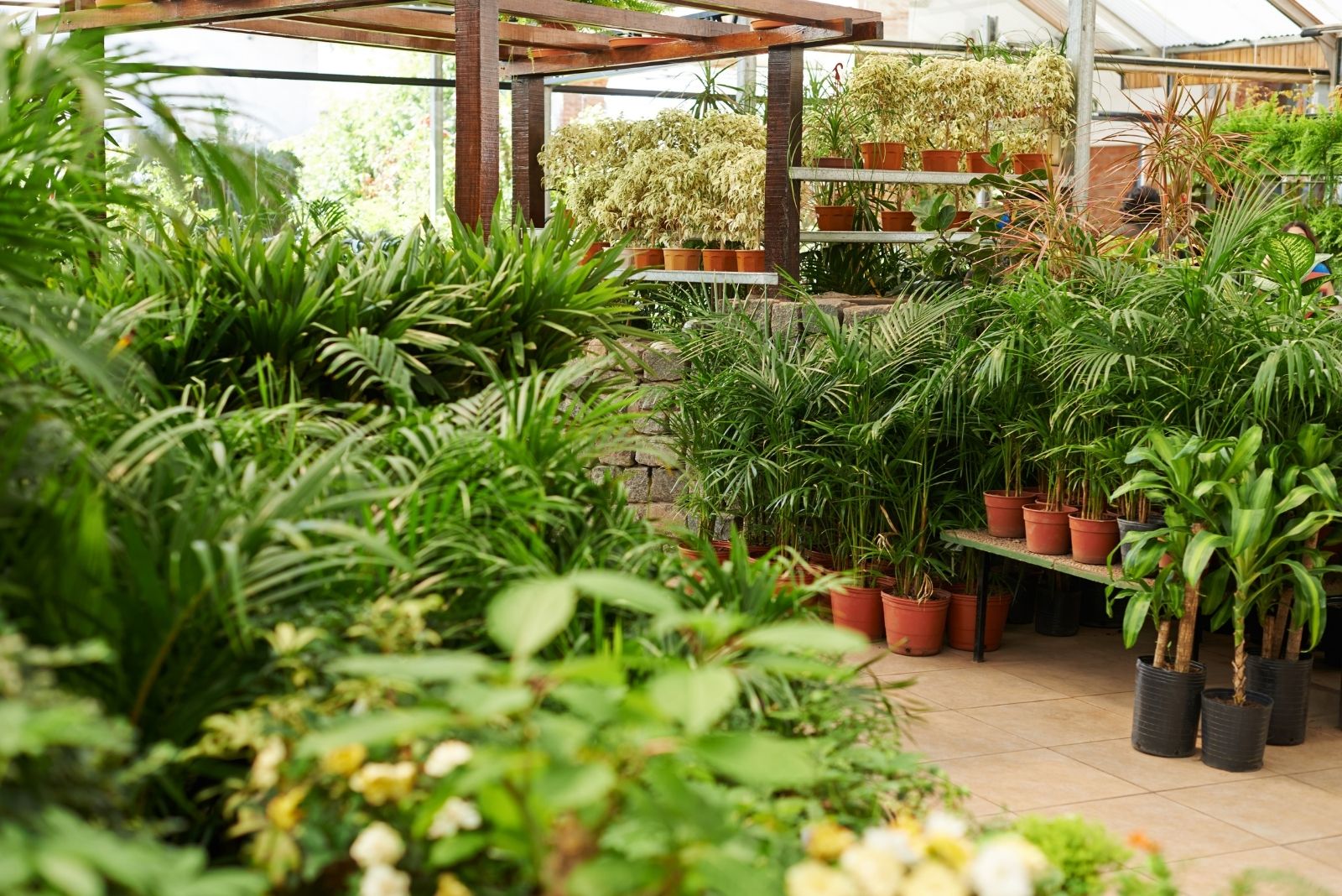 7 Things That Happen To Plants That Don’t Get Sold At The Store In California