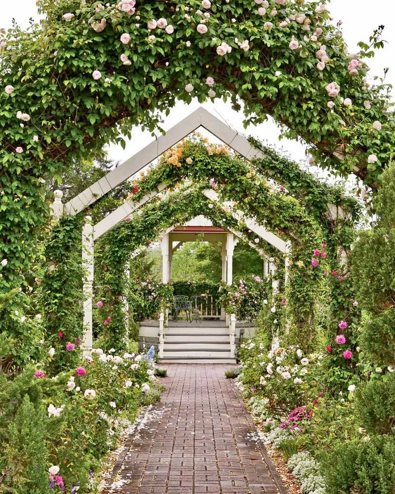 Explore The Antique Rose Emporium