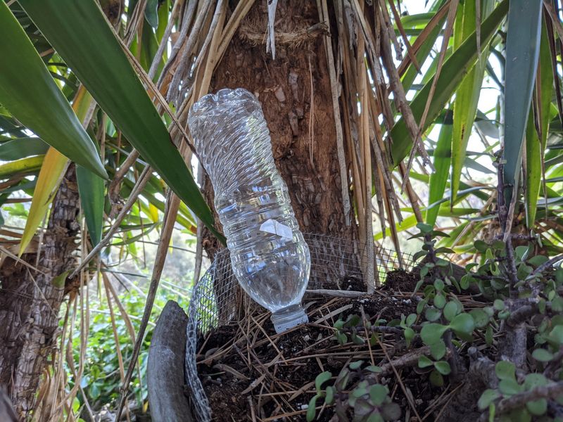 Self-Watering Bottle Systems