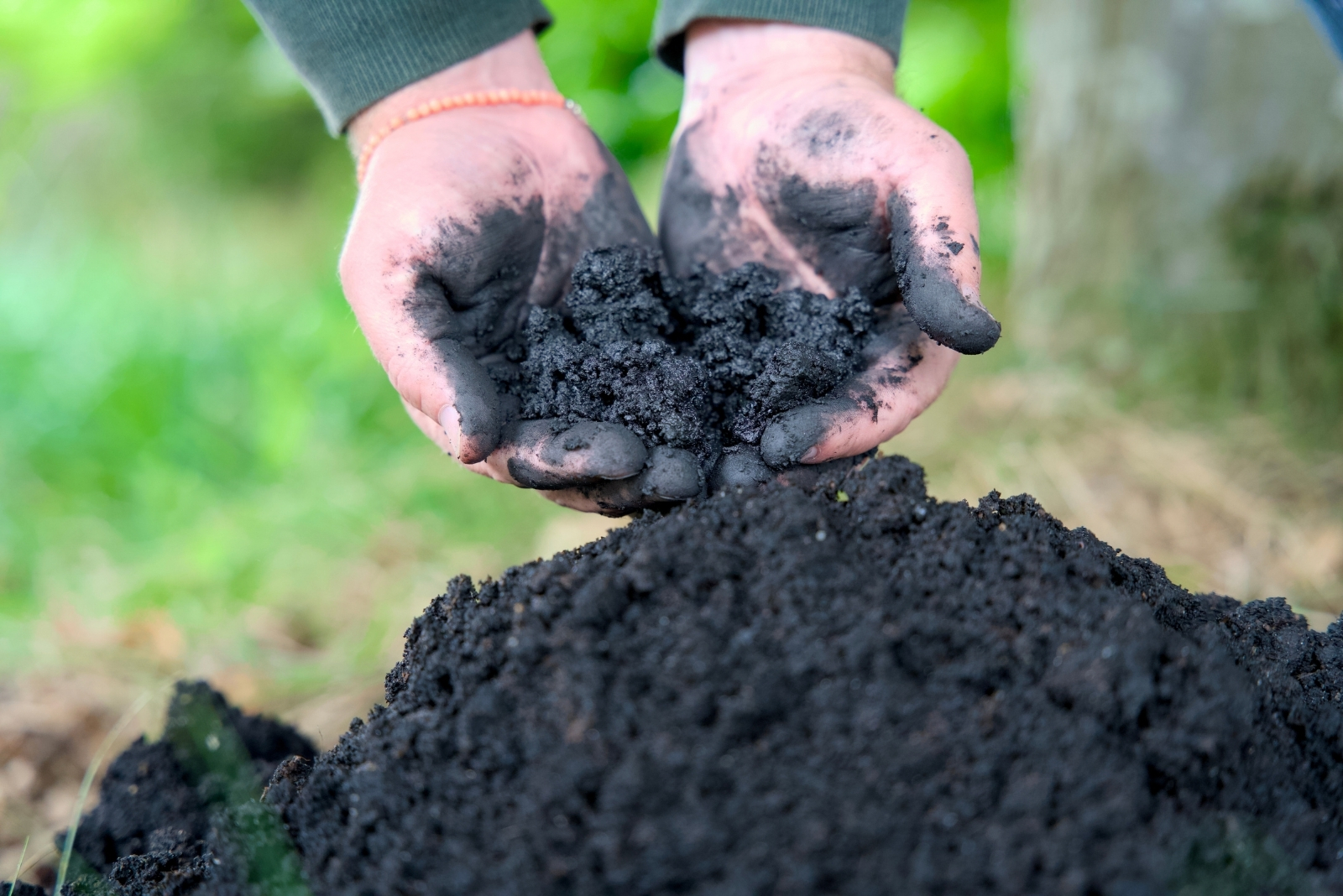 7 Ways To Use Biochar To Build Your Soil In Fall In Minnesota