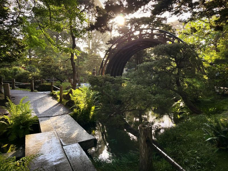 Japanese Tea Garden