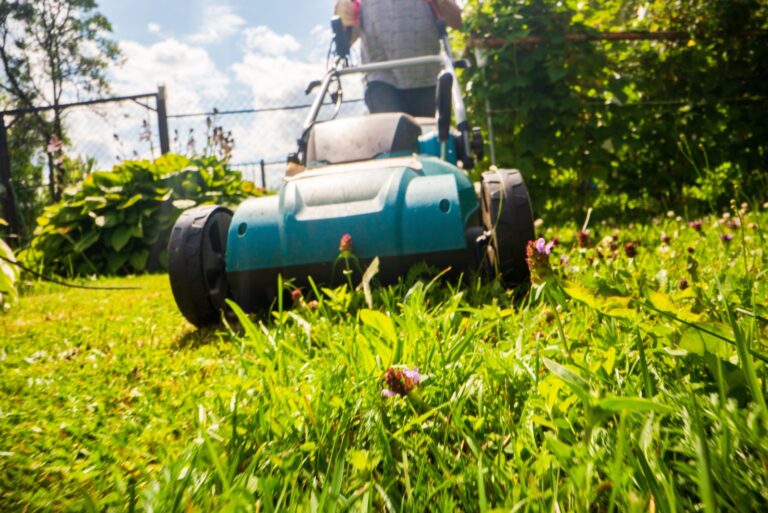 Lawn mower in motion on green grass in garden or backyard