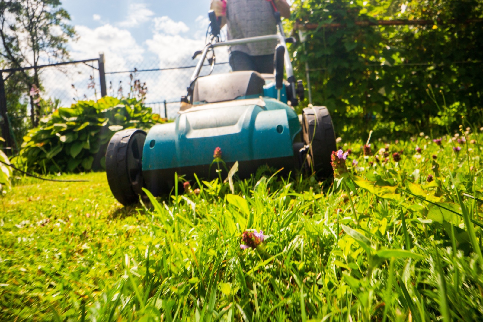 8 Lawn Mistakes Ruining Missouri Yards In Late Summer