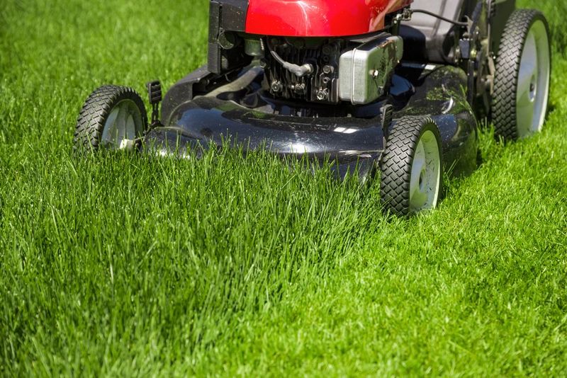 Mowing Too Short When Temperatures Soar
