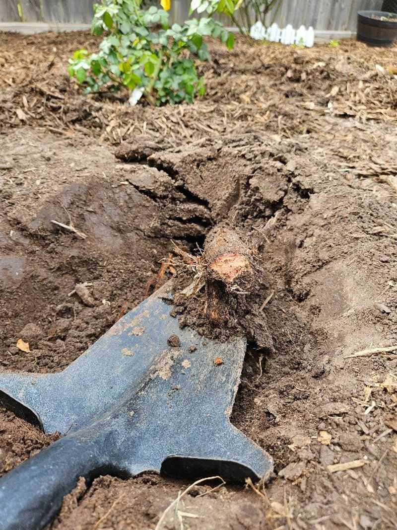 Ohio's Clay-Heavy Soil