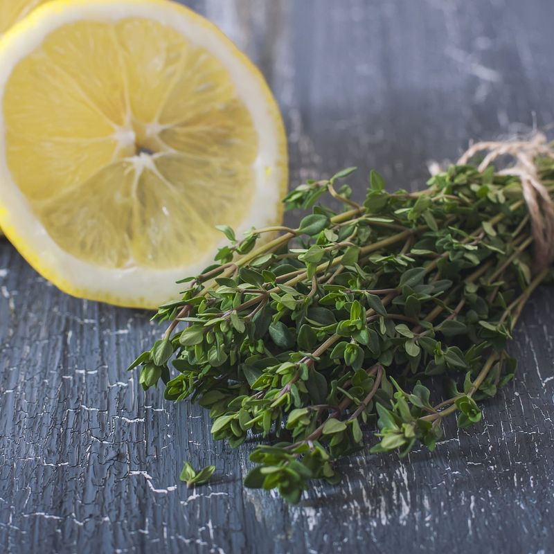 Strong Citrus Scent Confuses Insect Navigation