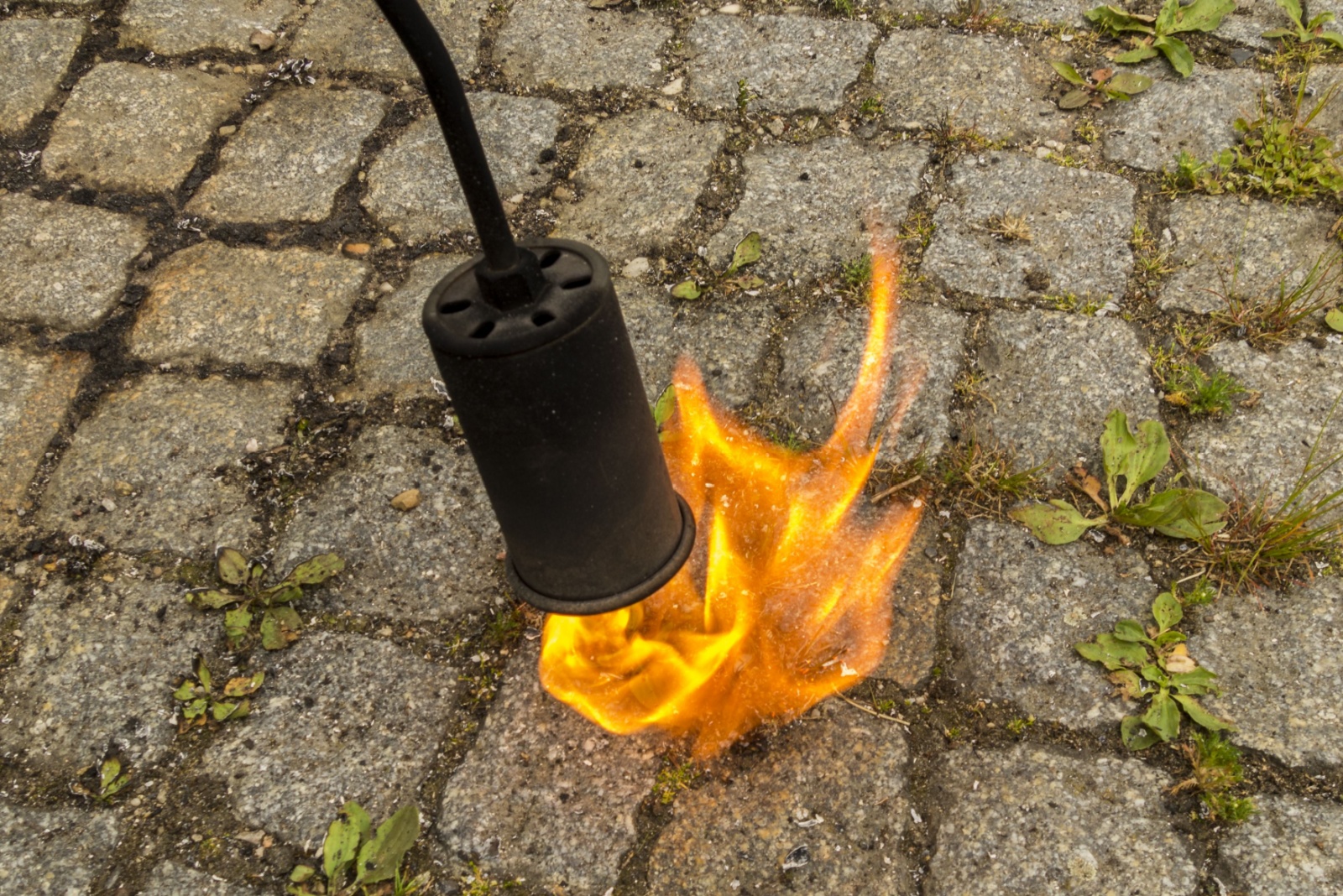 8 Risky Weed Control Methods New Yorkers Should Never Try