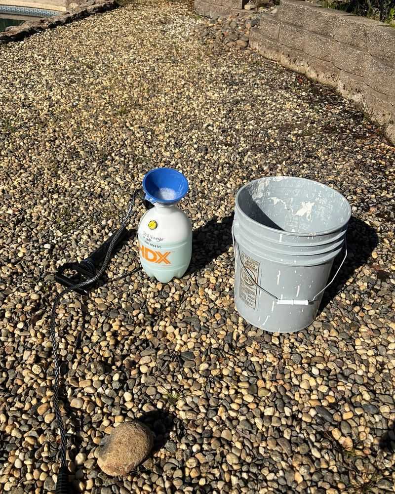 Pouring Bleach Directly On Soil