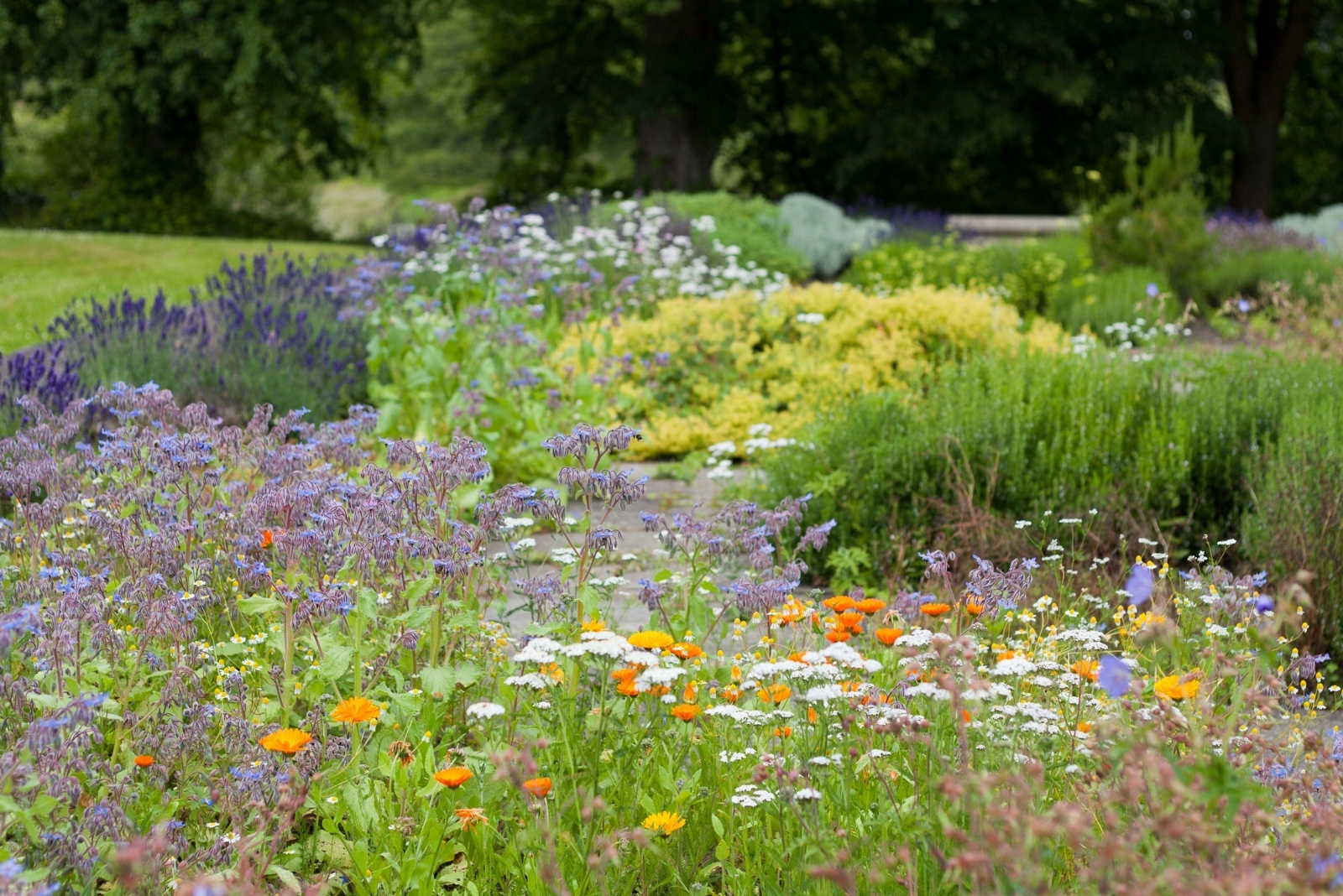 8 Ways Rudd Oakville Garden Inspires Napa Gardeners In California