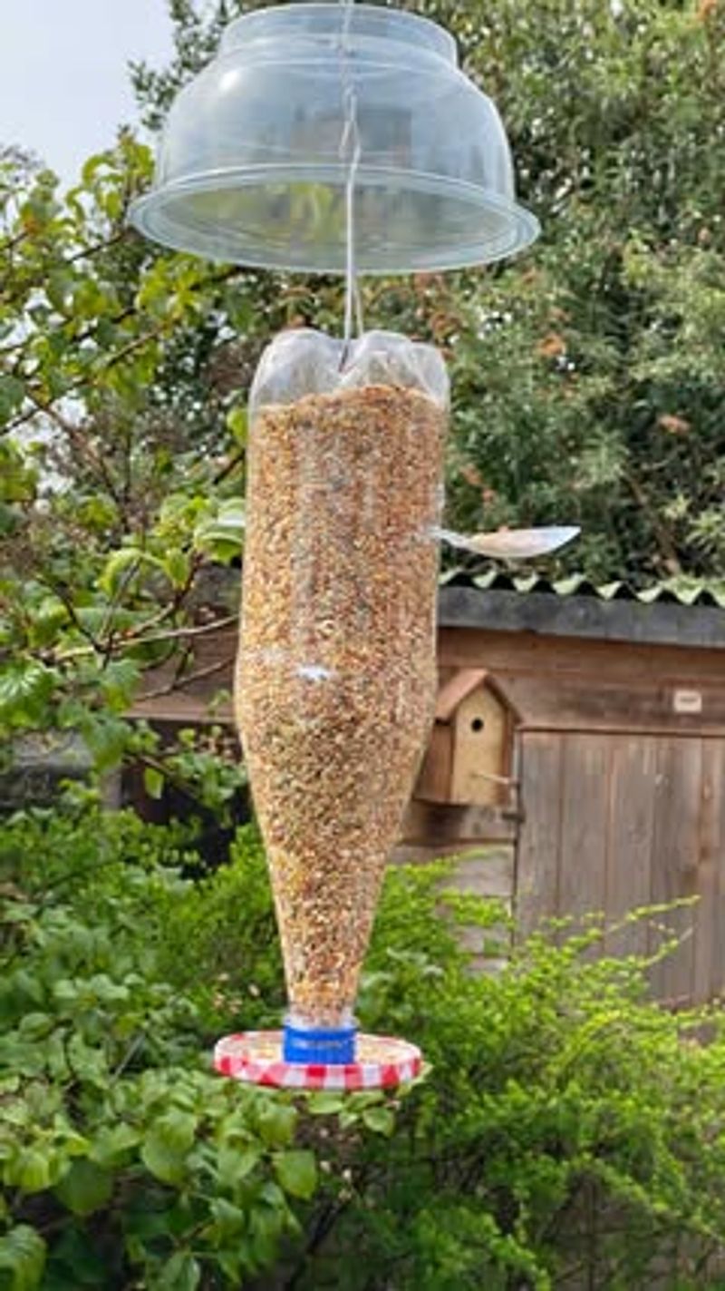Hanging Bottle Seed Dispenser