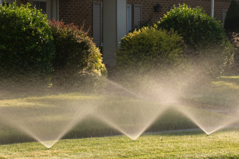 sprinkler in ground (featured image)