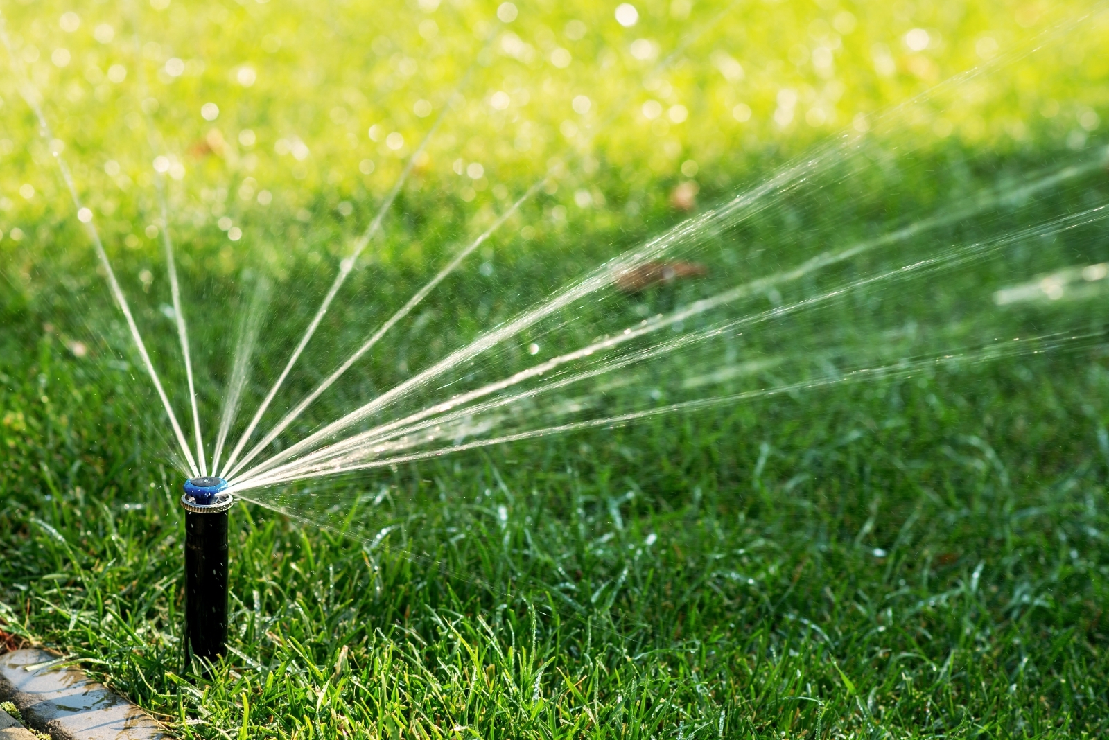 9 Colorado Yard Mistakes That Could Ruin Your Summer Lawn