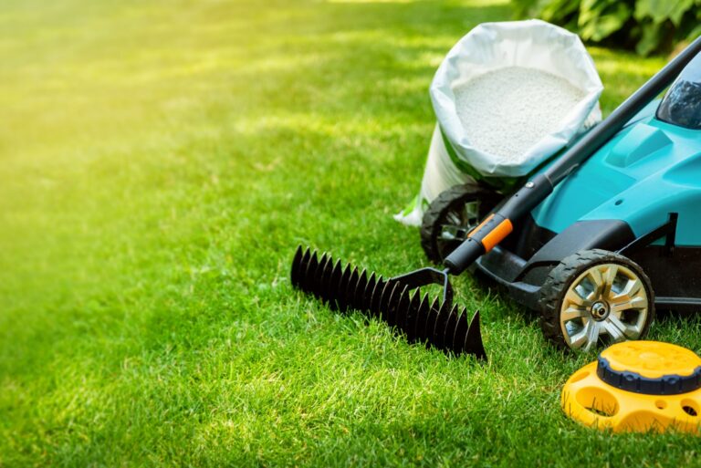 lawn care equipment