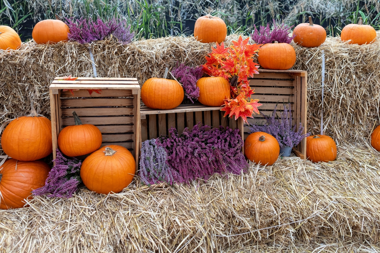 9 Creative Hay Bale Decorating Ideas For Fall In California