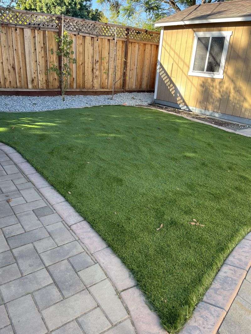 Artificial Turf Everywhere