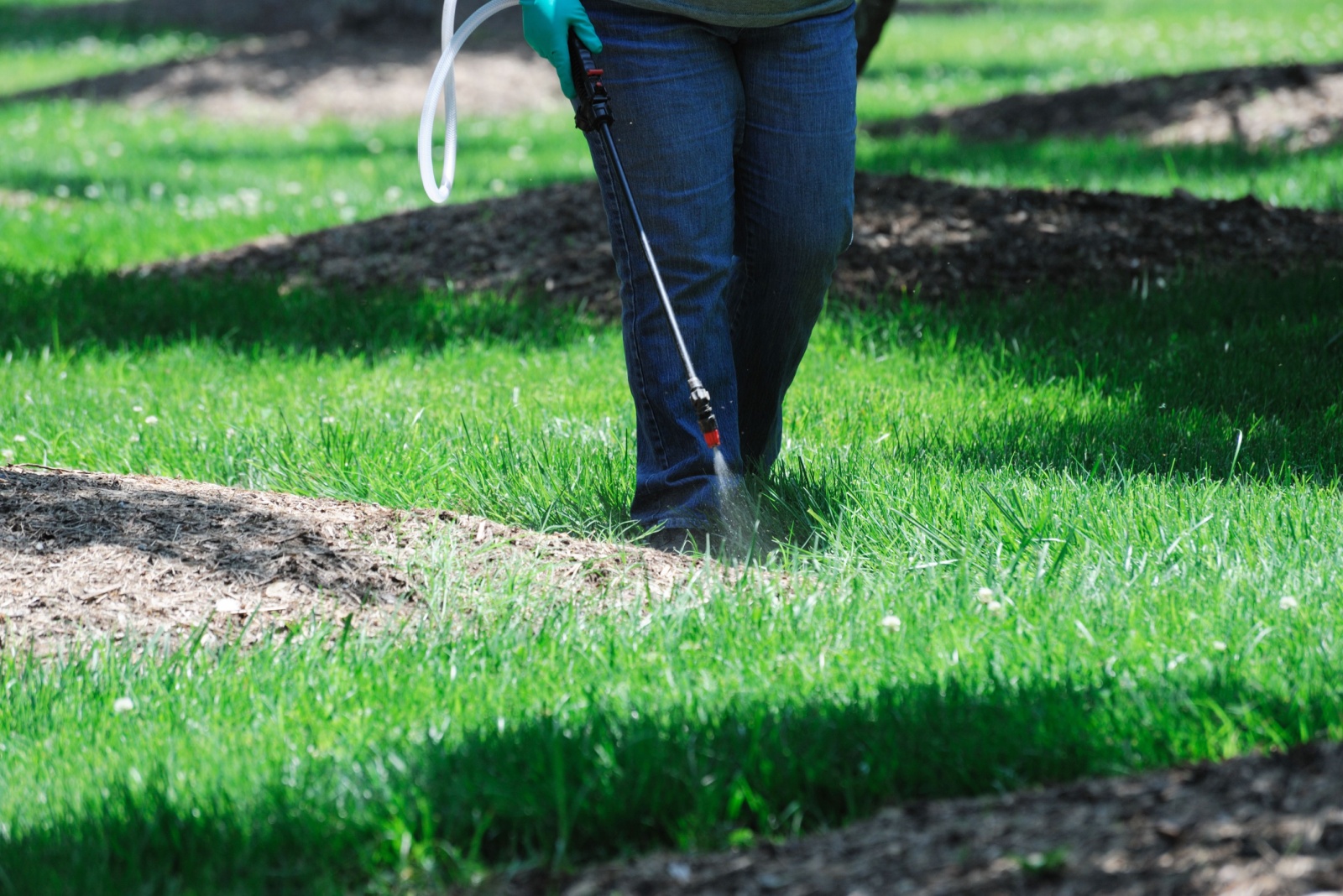 9 Late-Summer Lawn Mistakes Alabama Gardeners Should Avoid