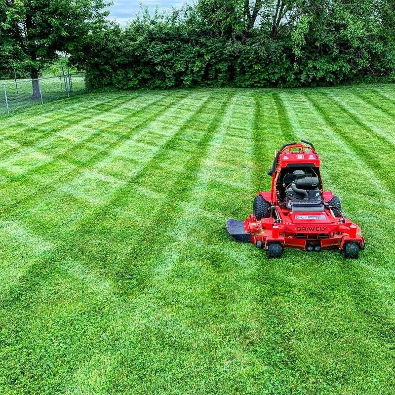 Mowing Too Short When It's Hot