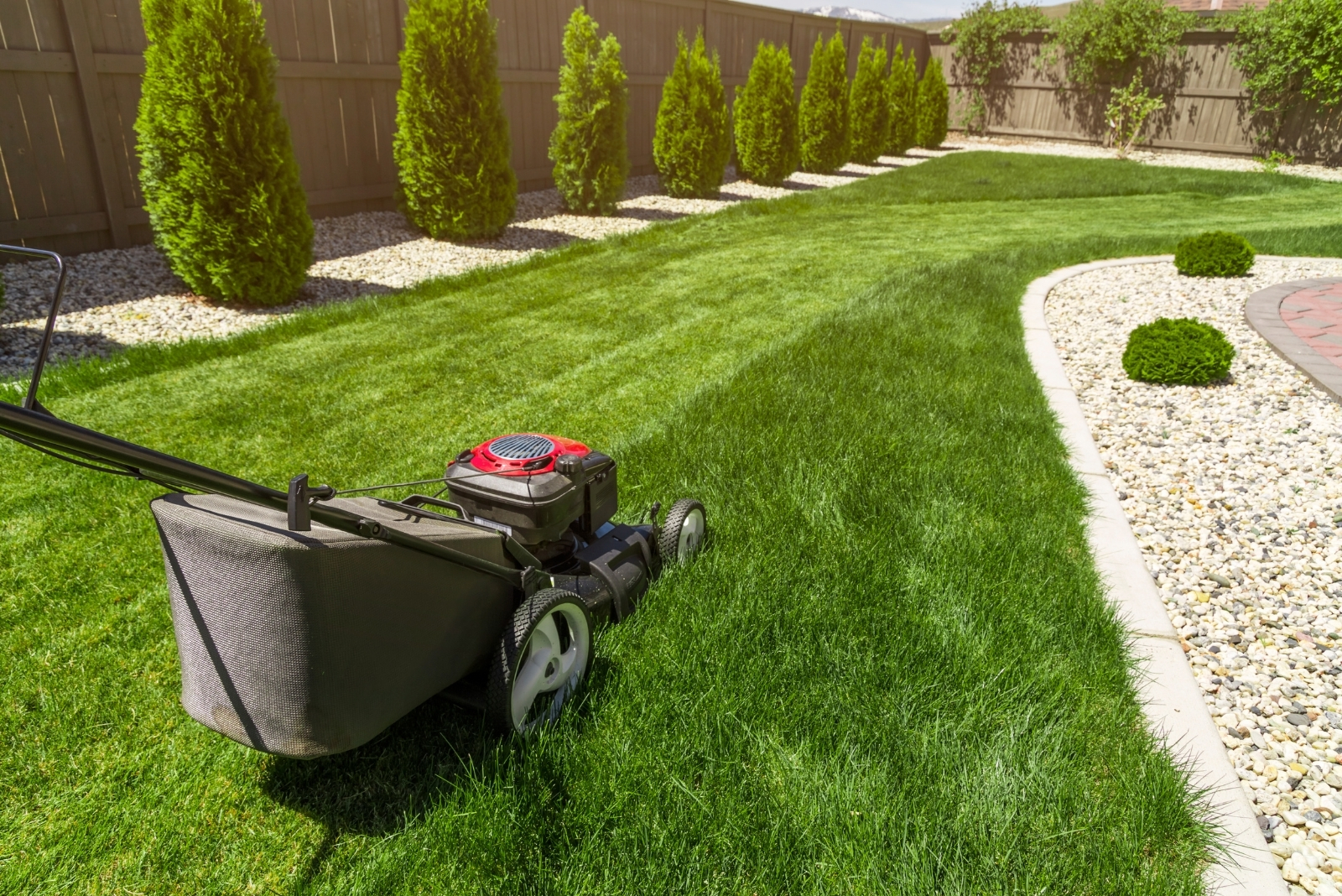 9 Lawn Mistakes Georgia Homeowners Make In Late Summer